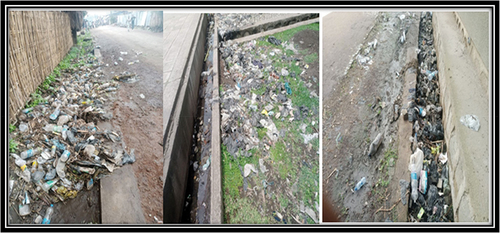 Figure 9. Waste covered the drainage and residential areas (field survey, 2023).