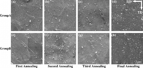Figure 6. Microstructural evolution of samples after each annealing stage: (a) Group A-1st A, (b) Group A-2nd A, (c) Group A-3rd A, (d) Group A-FA, (e) Group B-1st A, (f) Group B-2nd A, (g) Group B-3rd A and (h) Group B-FA. Note that the discrepancy of microstructure between both groups is becoming little with annealing times accumulated. All the images have the same direction and scale bar.