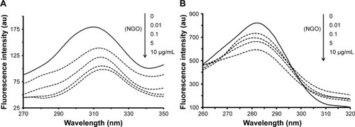 Figure 3 Synchronous fluorescence spectroscopy of Hb (0.1 µg/mL) after addition of increasing concentrations of NGOs with Δλ =15 nm (A) and 60 nm (B).Abbreviations: NGO, nano graphene oxide; Hb, hemoglobin.