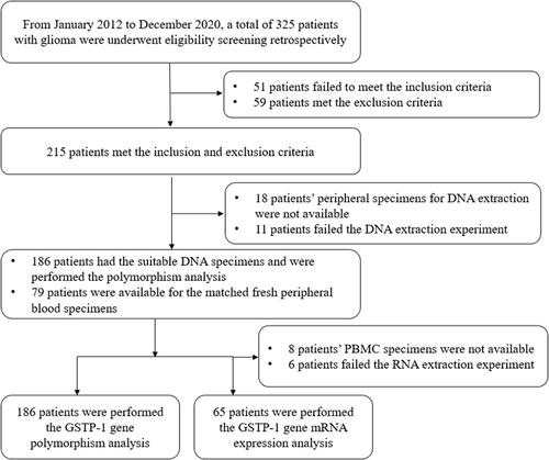 Figure 1 The flow chart of this retrospective study of patients with high-grade glioma who received temozolomide plus radiotherapy treatment.