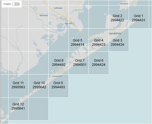 Figure 4. Galveston Island LiDAR grids.