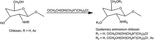 Figure 5 The synthetized reaction of quaternary ammonium chitosan.