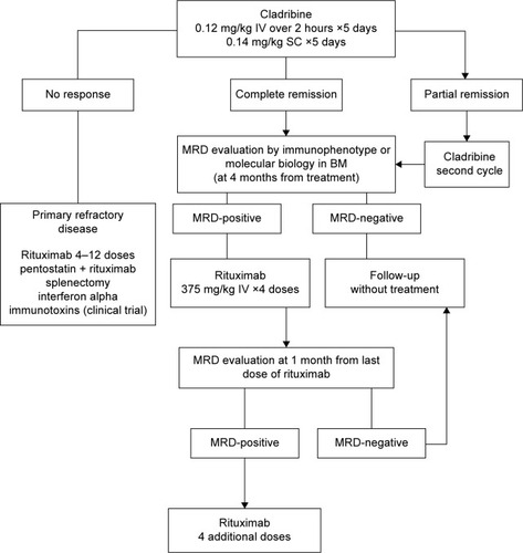 Figure 1 Algorithm for first-line treatment in hairy cell leukemia.