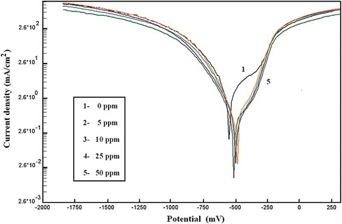 Figure 7. Anodic and cathodic polarization curves of C-steel in 2.0 M HCl containing different concentrations of MA-amido surfactant.