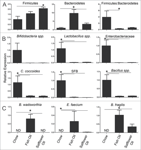 Figure 2. Rat pups born to dams fed diets rich in either n-3 PUFA (fish oil) or n-6 PUFA (safflower oil) have similarly decreased microbes known to dominate the infant microbiota but the n-3 PUFA group have enriched bacteria that are opportunistic pathogens. Rat dams were fed either 20% fat diets rich in either n-3 or n-6 PUFA and the offspring colons were examined for the presence of specific intestinal microbes using qPCR. A) Both n-6 and n-3 rich diets reduced the overall Firmicutes:Bacteroidetes ratio and B) similarly reduced microbes known to dominate during infancy like Bifidobacteria and Lactobacillus spp and Enterobacteriace as well as C. cocoides, SFB and Bacillus spp. C) In contrast, only the omega-3 rich diet enriched pathobionts like Bilophila wadsworthia, Enterococcus faecium and Bacteroides fragilis. Expression is relative to the average of the chow group (*, P < 0.05).