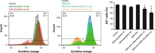 Figure 7 SMA-tDodSNO treatment impaired lysosomal membrane permeability.Notes: The cells were treated with SMA-Dox (1 µM) and/or SMA-tDodSNO (10 and 40 µM) for 4 hours, then stained by AO. The cells with high fluorescent intensity were named as AO+. Treatment of the cells with SMA-tDodSNO (40 µM) decreased significantly the percentage of AO+ cells. In addition, the combination of SMA-tDodSNO and SMA-Dox resulted in a significant decrease in the AO+ cells compared to either treatment alone. Data are expressed as mean values ± SD (N=3). bP<0.01 and cP<0.001 vs control, dP<0.05 and eP<0.05 vs SMA-Dox and SMA-tDodSNO (40 µM), respectively.Abbreviations: AO, acridine orange; Dox, doxorubicin; SMA, polystyrene-maleic acid; tDodSNO, tert-dodecane S-nitrosothiol.