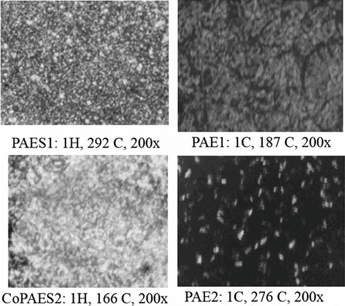 Figure 32 Polarizing microphotographs of thermotropic polymers.