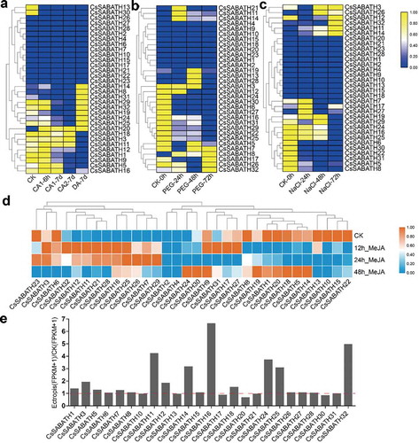 Figure 5. The stress response expression patterns of CsSABATHs in tea leaves. (a) The expression patterns of CsSABATHs in response to cold acclimation. The five stages represent nonacclimated at 25 ~ 20°C (CK), fully acclimated at 10°C for 6 h (CA1-6 h) and 10 ~ 4°C for 7 days (CA1-7d), cold response at 4 ~ 0°C for 7 days (CA2-7d) and recovering under 25 ~ 20°C for 7 days (DA-7d). (b) The expression patterns of CsSABATHs in response to 25% PEG treatment for 0, 24, 48 and 72 h. (c) The expression patterns of CsSABATHs in response to 200 mM NaCl treatment for 0, 24, 48 and 72 h. (d) The expression patterns of CsSABATHs in response to 0.25% (v/v) water solution of MeJA treatment for 0, 12, 24 and 48 h. (e) The expression patterns of CsSABATHs after Ectropis obliqua feeding in tea leaves.