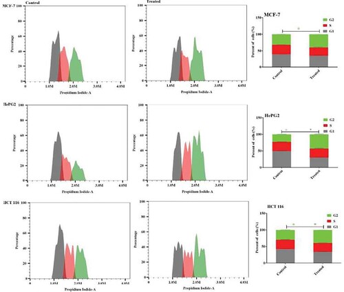 Figure 5. The impact of Acyclovir-loaded cod liver oil nanoemulsion on the cell cycle distributions of MCF-7, HepG2, and HCT 116 cells was assessed. Cell cycle distribution was analyzed using flow cytometry after 48 hours of treatment. Results are shown as the mean ± SD. Statistical significance is denoted by * for p < 0.05 and ** for p < 0.01