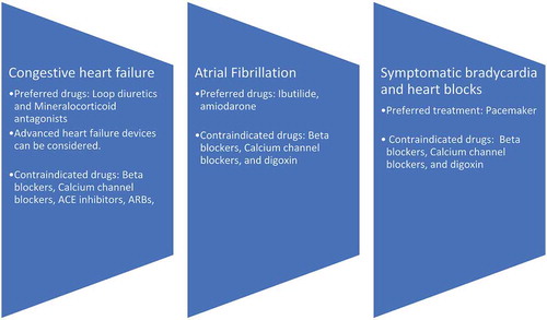 Figure 4. Summarizing the pharmacological agents for management of complications of AL type cardiac amyloidosis [Citation5,Citation12,Citation13]