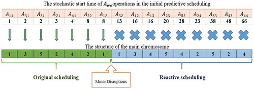 Figure 3. Encoding of the main chromosome structure