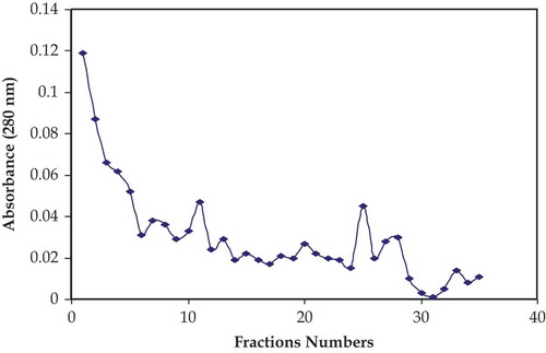 FIGURE 3 Ion exchange of selected samples of buffalo milk lysozyme from gel filtration sephadex G-50.