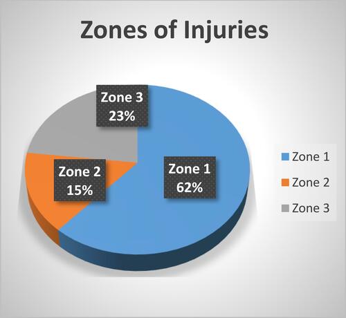 Figure 1 Zone categorization of open-globe injuries.