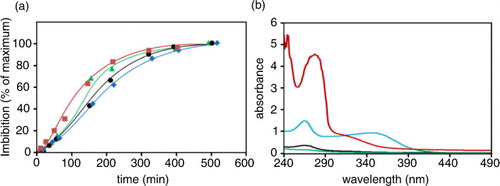 Fig. 2 Water entry and extrusion of molecular species. Beans were suspended (0.4 g/mL) in deionized water and left at room temperature (22–25°C). Panel a: at the indicated times, the incubation medium was carefully removed and the water entry, reported as a percentage of maximal imbibition, was evaluated by the increase in bean weight. Symbols (Display full size), (Display full size), (Display full size), and (Display full size) refer to Zolfino, Borlotto, Cannellino, and Corona, respectively. Panel b: the absorption spectra are reported in the UV-visible region of the imbibition medium after 1 h of incubation. The spectra were acquired directly on the incubation media except for Borlotto for which a twofold dilution in water of the medium was required; data are normalized for the dilution. Blue, red, black, and green lines refer to Zolfino, Borlotto, Cannellino, and Corona, respectively.
