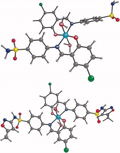 Figure 3. Top: Calculated molecular structure of complexes C1--4. Central “M” spheres represent metal (Co, Ni, Cu or Zn). W1 and W2 describe oxygen atoms belonging to water molecules. Bottom: Calculated molecular structure of complexes C5--8.