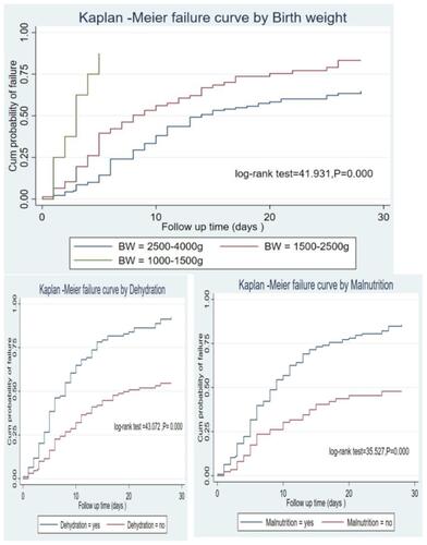 Figure 3 Kaplan–Meier failure curve by birth weight, dehydration, and malnutrition of neonates with esophageal atresia admitted in NICU at TikurAnbesa specialized Hospital from March 2011 to February 2021(n = 225).