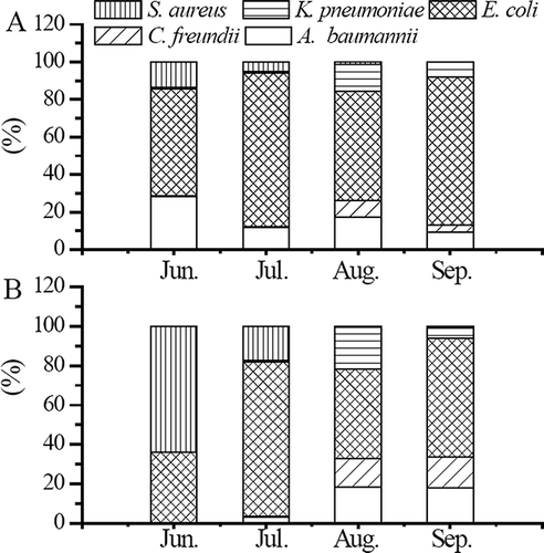 Figure 5. The percentage of detected bacteria in (a) room A and (b) room b.