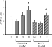 Figure 3 Semiquantitative cortical tubulointerstitial injury score in vehicle (C)-, gentamicin- and ferric nitrilotriacetate (FeNTA)-treated rats with Adriamycin nephropathy on day 33. *P < 0.05 vs. C.