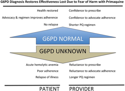Figure 3. Diagram illustrating relief to ineffective primaquine therapy (among the G6PD normal majority) and its determinants and consequences contrasted with the benefits delivered by G6PD status ascertainment.