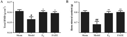 Figure 5. Effect of FAEE treatment on bone mineral density (BMD) and bone mineral content (BMC) in OVX rats. BMD (A) and BMC of the left femur (B). Data are the mean ± SEM of triplicate experiments. # p < 0.05, ## p < 0.01 versus sham-operated rats, * p < 0.05, ** p < 0.01 versus OVX rats.