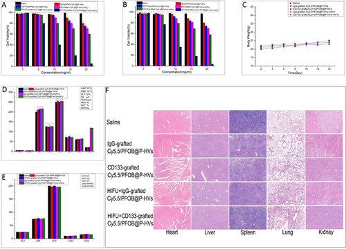 Figure 2 In vitro cytotoxicity and biosafety. Cell viabilities of BxPC-3 cells after co-culture with six groups individually with varied concentrations for 24 h (A) and 48 h (B), respectively. Data are expressed mean ± SD (n=5). (C) Time-related body weight change of the five groups. (D) Blood routine indexes analysis of mice after intravenously injection of with five groups individually. Data are expressed mean ± SD (n=5). Blood routine examination results: White blood cells (WBC) counts, Red blood cells (RBC) counts, Hemoglobin (HGB) counts, Hematocrit (HCT) counts, Mean corpuscular volume (MCV) counts, Mean corpuscular hemoglobin (MCH) counts, Mean corpuscular hemoglobin concentration (MCHC) counts, and Platelet (PLT) counts. (E) Hepatic and renal function indicator analysis of five groups at the end of treatments. Serum biochemistry data including Aspartate aminotransferase (AST), Alanine aminotransferase (ALT), and Alkaline phosphatase (ALP), Urea and Crea(creatinine). (F) H&E staining of main organs harvested from tumor-bearing mice after different corresponding treatments in five groups respectively. Scale bar:100μm.