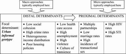 Figure 11. Urban informal areas as a cross-cutting focal determinant