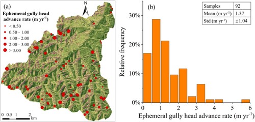Figure 5. (a) Spatial distribution and (b) the relative frequency of ephemeral gully head advance rates from 2009 to 2021.