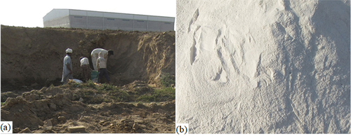 Figure 1. The raw material used in the study: (a) natural clay; (b) waste marble powder.