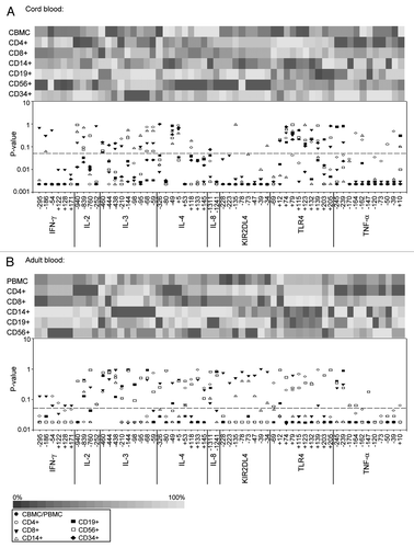 Figure 7. Methylation levels in blood cell subpopulations. Upper subplots display heatmaps of average DNA methylation levels in each CpG position and in each cell type in (A) CB and (B) AB. The lower subplots show p values for the comparison of median methylation levels between each subpopulation and total C/PBMCs using paired Mann-Whitney rank sum tests. The dashed line indicates the significance threshold of a p value < 0.05.