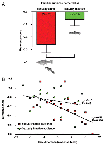 Figure 4 Changes in P. mexicana male mating preferences induced by the presence of a familiar audience male.Citation29 Males of a dyad (one sexually active and one sexually inactive male) were tested for their preferences while successively serving both as focal and audience males. (A) A comparison of preference scores (fraction of time near preferred female during 2nd-1st test parts, means ± SEM) reveals that male preferences were more affected when the rival was perceived as sexually active (paired t-test; *p < 0.05). (B) Correlation between body size differences and changes in male mating preferences (preference scores). Body size differences in the tested male dyads (N = 21) were determined as the audience male's standard length (SL)—focal male's SL. rs- and p-values are from Spearman rank order tests. The strength of male preferences decreased with increasing rival body size when the audience was perceived as sexually active, but not in the case of sexually inactive audience males.