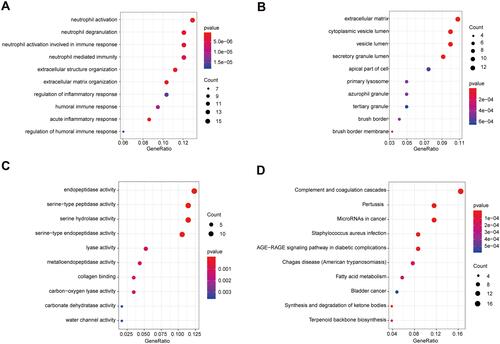 Figure 3 Significantly enriched terms of 125 mRNAs (top 10). (A) The top 10 significantly enriched BP terms. (B) The top 10 significantly enriched CC terms. (C) The top 10 significantly enriched MF terms. (D) The top 10 significantly enriched KEGG pathways. The x-axis: Generatio; the y-axis: GO or KEGG terms.