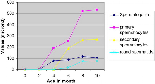 Figure 3. Nuclear volumes of different spermatogenic of Assam goats at different post natal ages.
