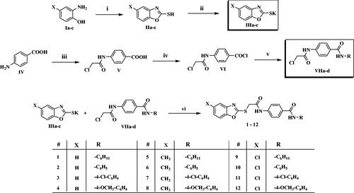 Scheme 1 Synthesis of the compounds 1–12; Reagents/conditions: (i) CS2/KOH/CH3OH/reflux 6 h, (ii) KOH/C2H5OH/reflux 4 h, (iii) ClCH2COCl, NaHCO3/DMF/r.t./1h, (iv) SOCl2/1,2-dichloroethane/reflux 4 h, (v) R-NH2/acetonitrile/TEA/r.t. 8 h, (vi) DMF/KI/60 °C/6h.