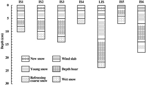 Figure 5. A schematic column of snow stratigraphy observed during the seventh Chinese Arctic expedition.