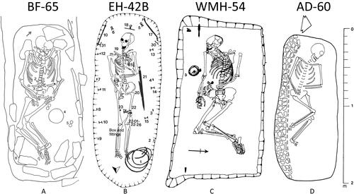 fig 11 In situ grave drawings for individuals with physical impairment with evidence of increased burial effort. (A) BF-65, shown at 1:20 scale; (B) EH-42B, shown at 1:20 scale; (C) WMH-54, shown at 1:20 scale; (D) AD-60. Images reproduced from: (A) Boyle et al Citation1998, fig 5.12, © Oxford Archaeology; (B) Malim and Hines Citation1998, fig 3.71, reprinted with permission of the authors, © Council for British Archaeology; (C) Drawing by Mark Bennet in Bishop and Mordan Citationn.d., fig 14, © Nottinghamshire County Council; (D) Down and Welch Citation1990, fig 2.54, © Chichester District Council. All rights reserved.