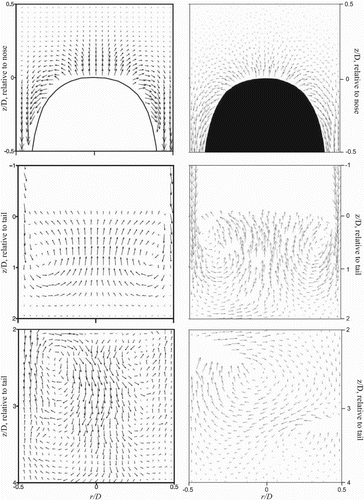 Figure A.1. Velocity vectors around a fully developed Taylor bubble. The plots on the left are for PIV results averaged over 100 Taylor bubbles (van Hout et al., Citation2002). The plots on the right are instantaneous results from a CFD simulation. In the top row the results are for a window from D/2 below the nose of the bubble to D/2 above it; the middle row is from 2D behind the tail of the bubble to the tail; the bottom row is from 4D to 2D below the tail of the bubble.