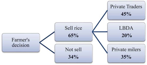 Figure 2. Market participation and marketing channels used by farmers.