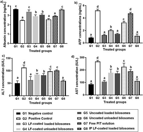 Figure 11. Levels of liver function biochemical markers in the 8 treatment groups; G1 (negative control), G2 (positive untreated control), G3-7 treated groups with oral administration of different formulae where G3 (LF-coated loaded), G4 (LF-coated unloaded), G5 (uncoated unloaded), G6 (uncoated unloaded), G7 (free PIT solution) and G8 (Same formula as in G3 ‘LF-coated loaded formula’ but administered IP rather than orally) showing levels of (a) albumin, (b) Alpha feto protein (AFP), (c) alanine transaminase (ALT) and (d) aspartate transaminase (AST). All results are statistically compared to normal control (G1) where a significant difference was achieved at p ≤ .05 with mean values a < b < c < d.