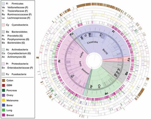 Figure 1. Phylogenetic display of bacteria present in eight solid tumor types. Taxonomic classifications of the bacteria found in tumors are represented as a circular phylogenetic tree with equal branch lengths, overlaid with a color-coded pie-chart according to Phylum classification. Major phyla and sub-clades are annotated with short abbreviations which are expanded in the legend (F – family level, G – genus level). Bacteria at the species level are the outer leaves of the tree and appear as a dense gray outer circle within the pie-chart. Each surrounding ring depicts a different tumor type as indicated by the second legend. Each bar in the rings represents the status of the bacterial species corresponding to its location along the perimeter of the tree, within the specific tumor type: dark color shade indicates that the species passed all filtering stages of our stringent 16S rRNA sequencing analysis pipeline, light color shade indicates species that passed all filters except those related to specific medical center considerations. All tumor types display diverse bacterial profiles spanning several major phyla. Breast tumors (pink inner ring) display high diversity and richness of bacteria. Colon (brown outer ring) was sampled and added as an eighth tumor type of higher bacterial biomass and has a more distinct profile largely comprised of Bacteroidetes and Firmicutes.