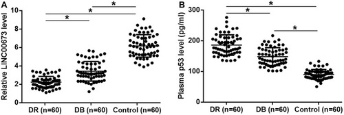 Figure 1 LINC00673 and p53 showed opposite expression pattern in DR. LINC00673 and p53 levels in the plasma of 3 groups of participants were detected by RT-qPCR and ELISA. (A) The expressions of LINC00673 levels in DR group, DB group, and control groups were detected by RT-qPCR. (B) Plasma p53 levels in DR group, DB group, and Control groups were detected by the ELISA. The data were compared by ANOVA (one-way) and Tukey’s test. *p<0.05.