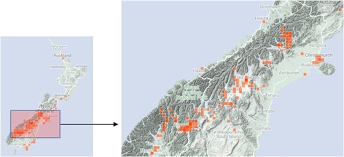 Figure 2. Distribution of wild Russell lupin in New Zealand and the lower South Island (source: inaturalist.org).