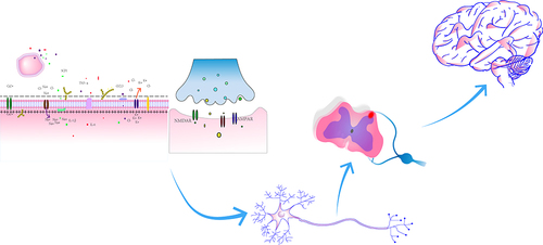 Figure 3 The mechanisms for pain.