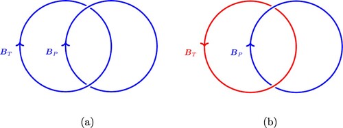 Figure 3. A representation of the linkage of toroidal and poloidal fields. Colours correspond to those in figure 2(a). The (Gauss) linkage in (a) is −1 and in (b) is +1. These signs correspond with those of the helicity density in figure 2(d). (Colour online).