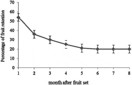 Figure 1. Percentage of fruit retention during fruit growth in pummelo cultivar Thong Dee. The vertical bars presented the standard error of mean.