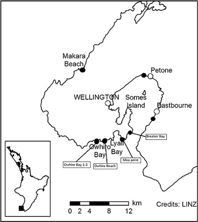 Figure 2 Map showing the locations of the natural Senecio lautus populations sampled in this study (black points). White circles mark urban areas.