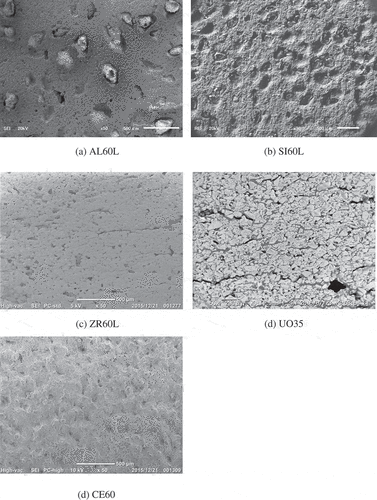 Figure 3. Scanning electron microscopy (SEM) images of samples: (a) AL60L, (b) SI60L, (c) ZR60L, (d) UO35, and (e) CE60.