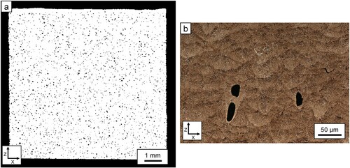 Figure 5. (a) Keyhole porosity in an AISI 4340 steel specimen produced at 185 J mm−3 using a 110 W laser power. (b) Example of keyhole pores at the bottom of melt pools in an AISI 4340 specimen produced at 140 J mm−3 using a 110 W laser power.