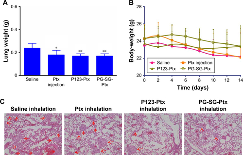 Figure S6 Antitumor efficacy against A549 pulmonary metastatic tumor-bearing nude mice.Notes: (A) Lung-mass weight of each treatment group. *P<0.05, **P<0.01 compared with saline. (B) Body-weight changes as a function of time. Values expressed as means ± SD (n=6). (C) Lung sections isolated on Day 14 after treatment with different Ptx formulations and stained with H&E. Original magnification 4×. Tumor locations marked with arrowheads. (D) Western blotting analysis: MMP2/9 protein expression in lungs of A549 pulmonary metastatic tumor-bearing and normal male nude mice. (E) Pgp expression after inhalation with different Ptx formulations.Abbreviations: P123, Pluronic P123; Ptx, paclitaxel; SG, succinylated gelatin; P123-Ptx, P123 micelles loaded with Ptx; PG, P123 modified with GPLGIAGQ-NH2; GAPDH, phosphoglyceraldehyde dehydrogenase.