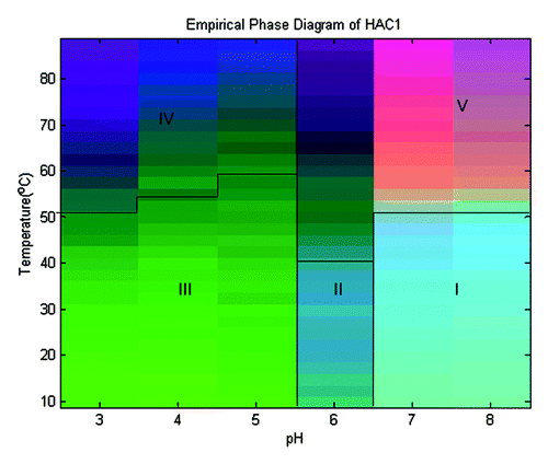 Figure 4. An empirical phase diagram (EPD) constructed using intrinsic and extrinsic fluorescence, circular dichroism and static light scattering techniques for HAC1.