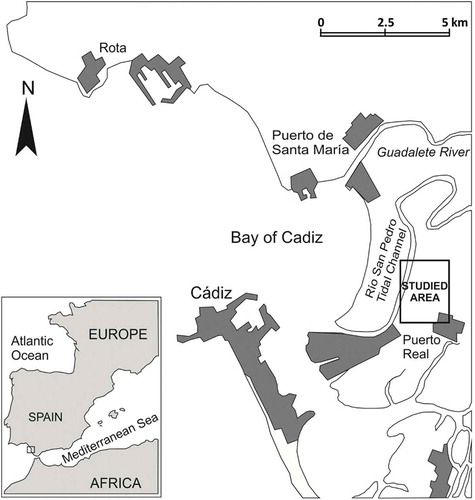 Figure 1. Location of the studied area.